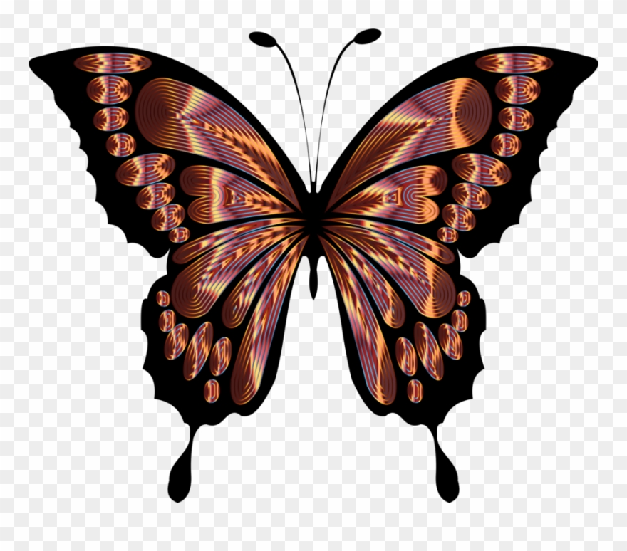 All Photo Png Clipart Transparent Png