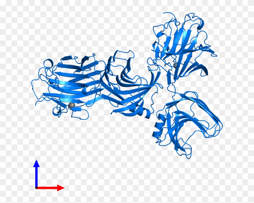 <div Class='caption-body'>pdb Entry 1axk Contains 2 Clipart