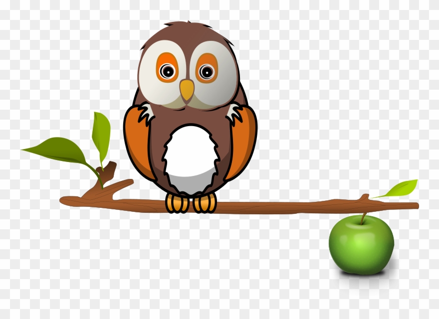 Owl On Branch By Karthikeyan Owl On Branch Clipart