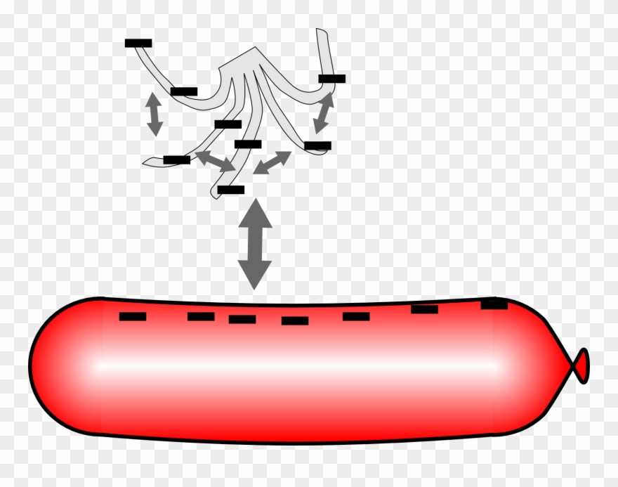 The Negative Charges On The Balloon And The Plastic Clipart