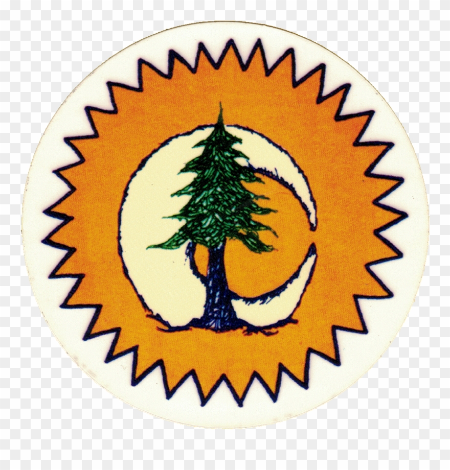 Sun Moon Pine Tree Clipart