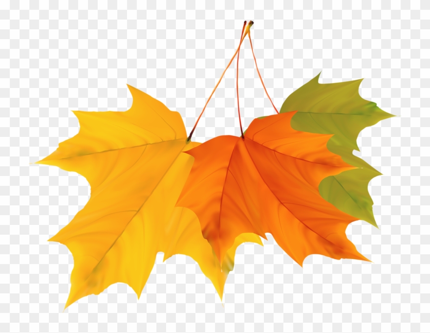 Autumn Coloursautumn Leavesalbumclip Artfall - Png Download