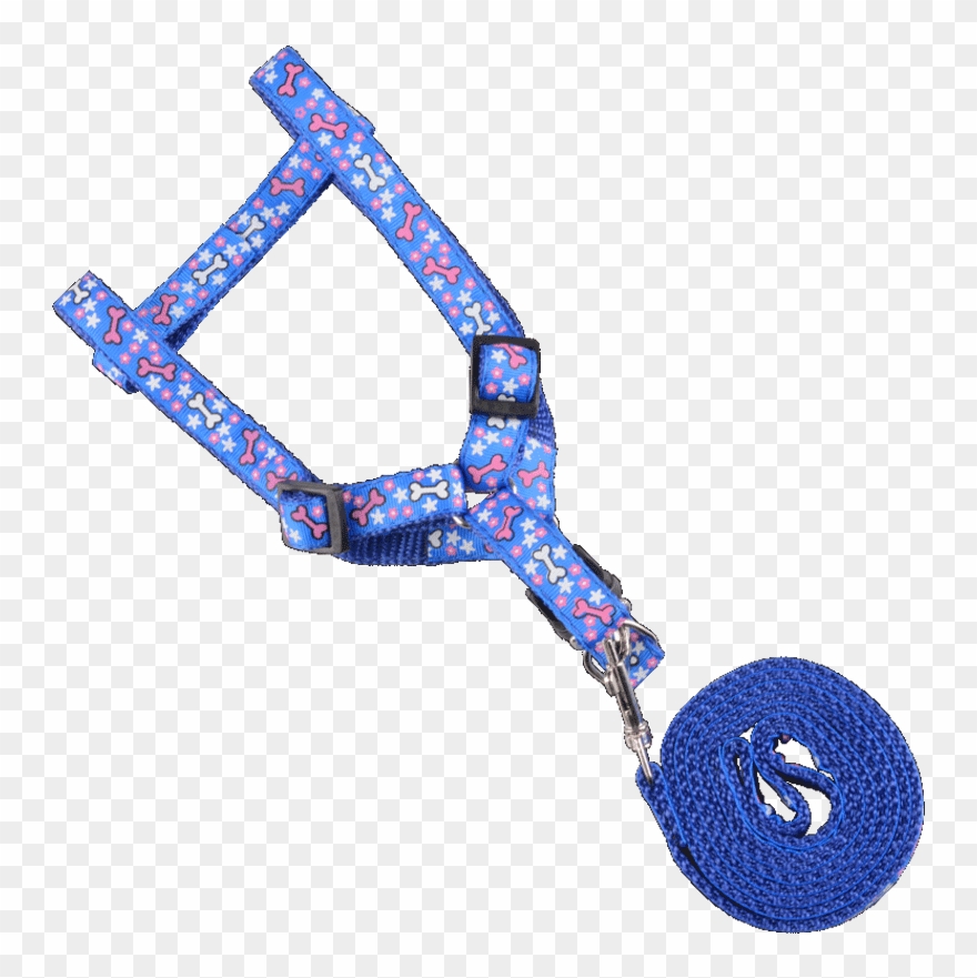 Rabbit Leash Rabbit Rabbit Rope Supplies Chain Small Clipart