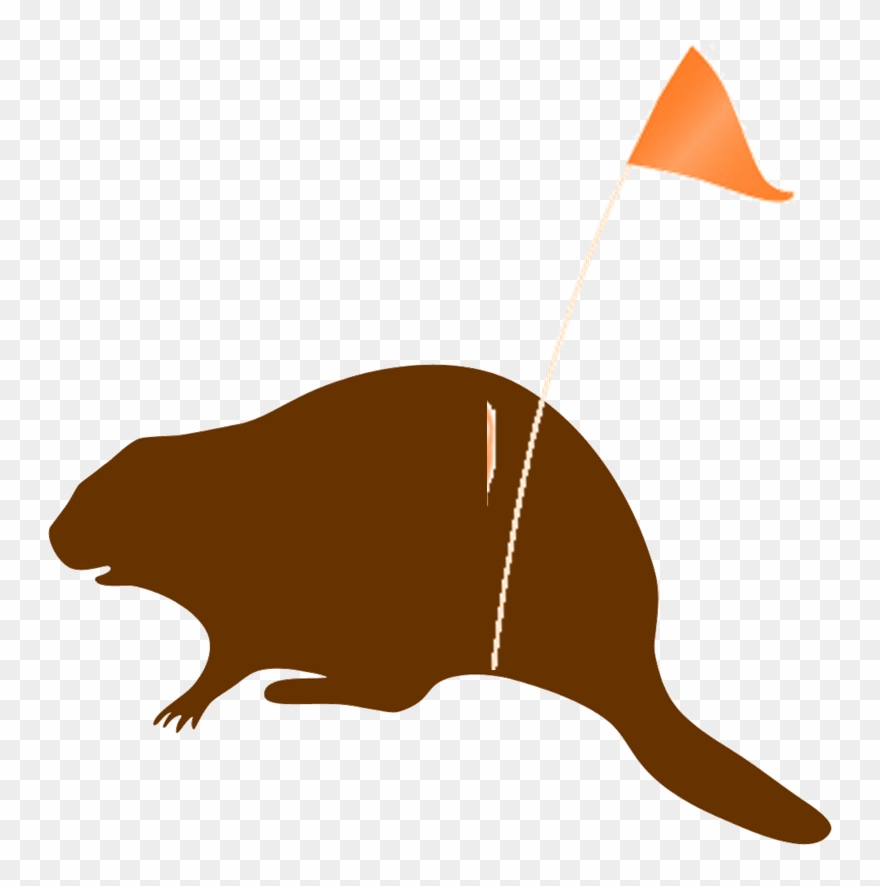 Muskrat Clipart - Png Download