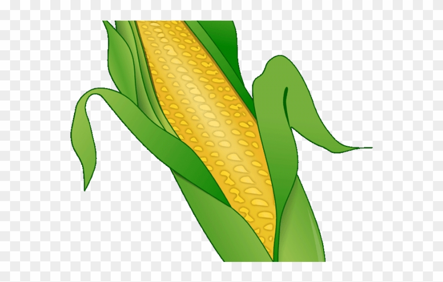 Corn Clipart Fruit - Png Download