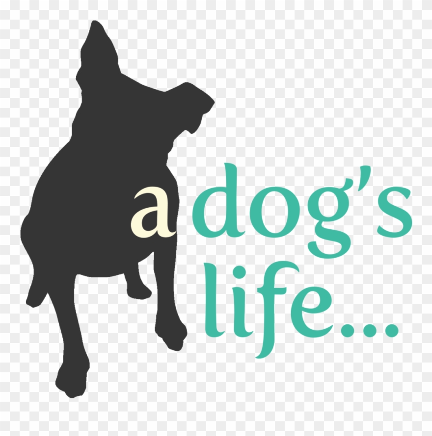 Dog Agility Clipart - Png Download