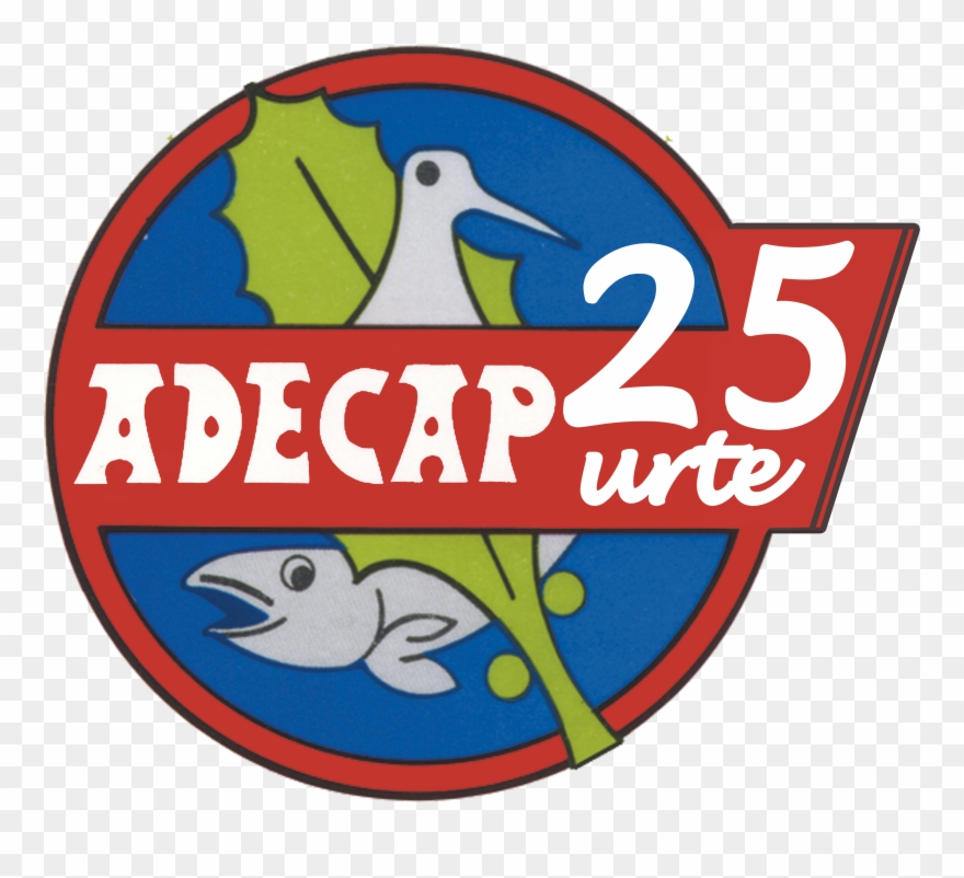 Logo 25 Transparente Clipart