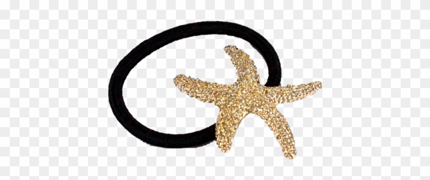 Starfish Ponytail Holder Clipart