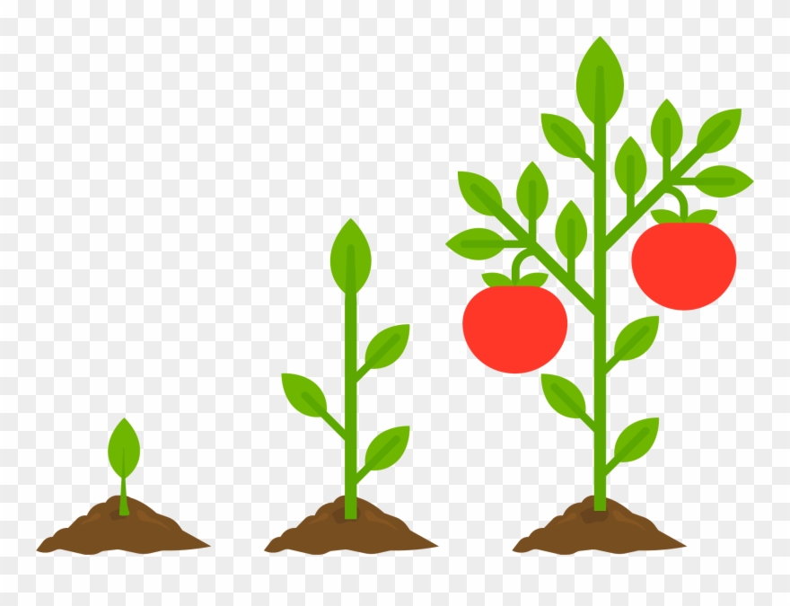 Gardening Basics Use These Clipart
