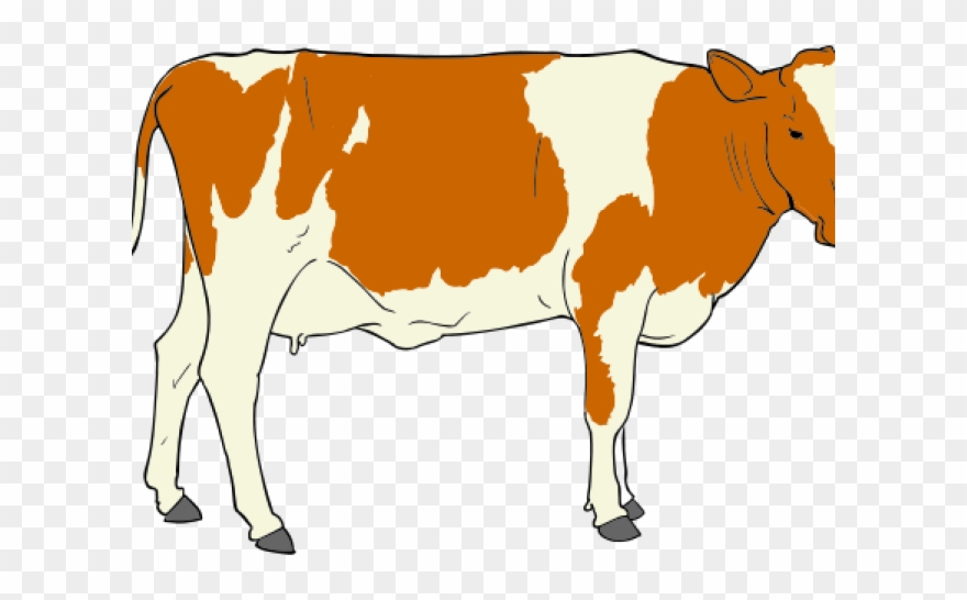 Pair Clipart Cow - Png Download