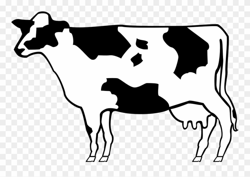 Clipart Of Livestock, Cow To And Cow That - Png Download
