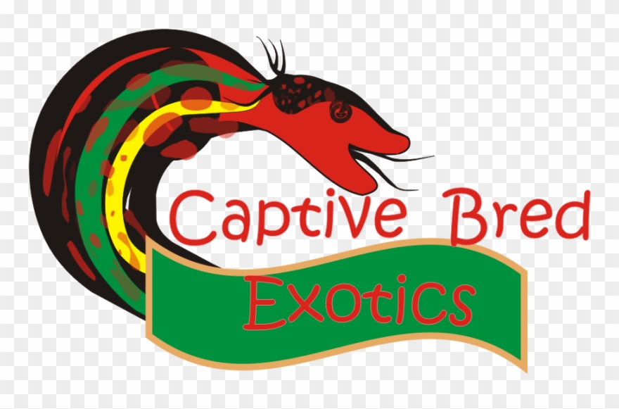 Bold, Feminine Logo Design For Captive Bred Exotics Clipart
