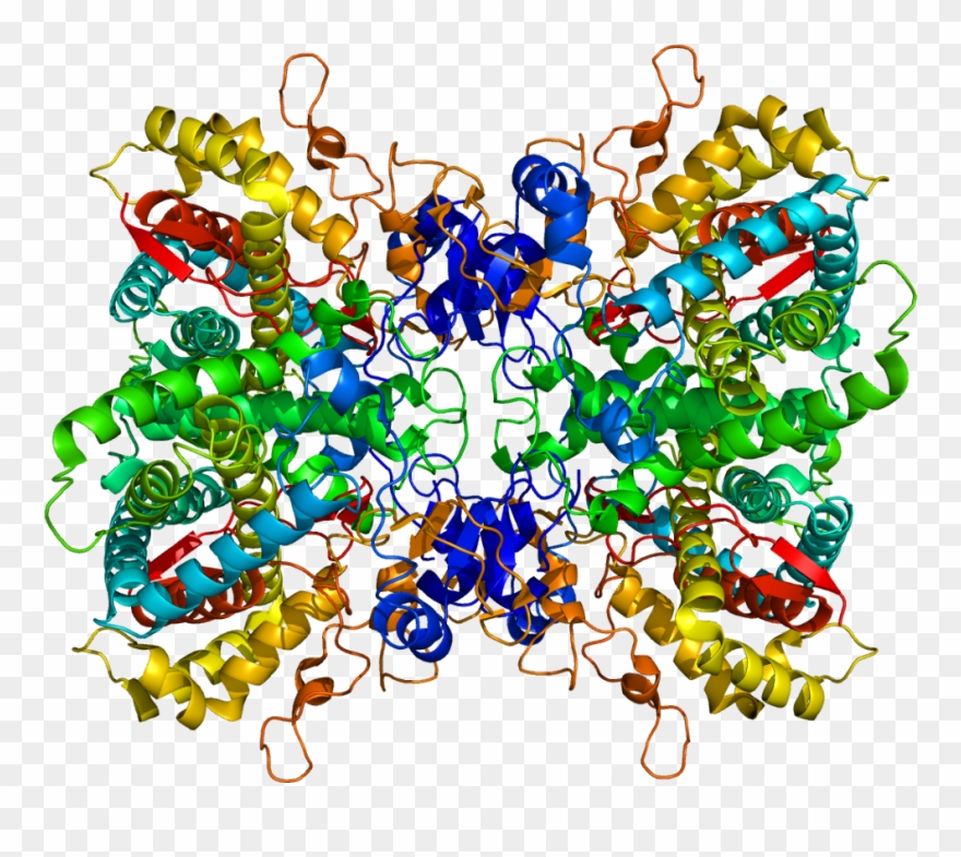 A Rendering Of The Cyp2d6 Enzyme Clipart