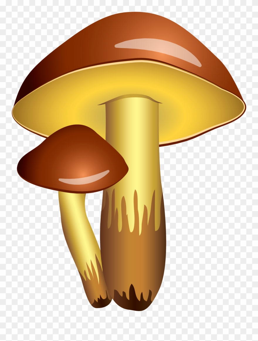 Clipart Of Mario And Fungi - Png Download