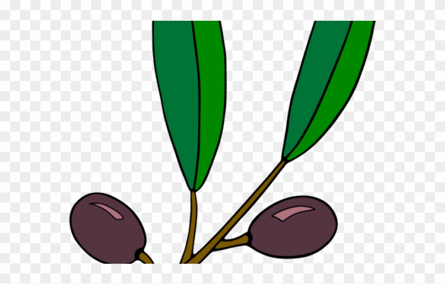 Olive Clipart Olive Branch - Png Download
