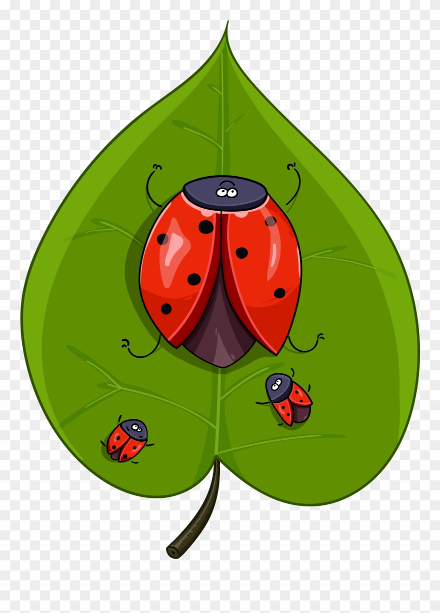 Funny Ladybugs Free Vectors Clipart