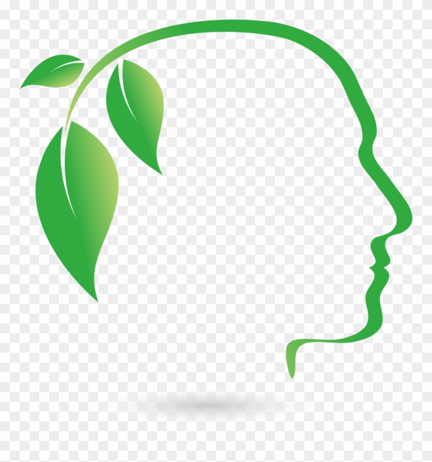 Choose Your Plan Clipart