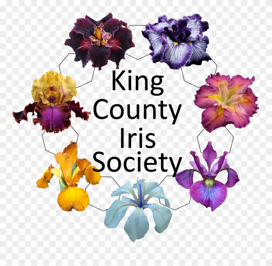 300dpi, Download File Clipart