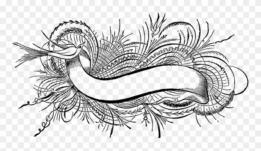 Graphic Illustration, Typography, Lettering, Digital Clipart