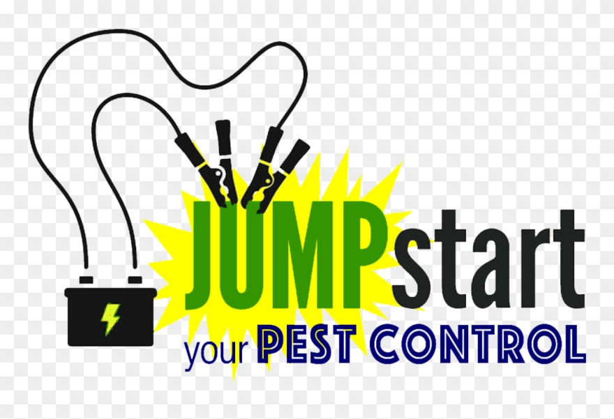 Its Vital To Jump Start Your Service By Doing An Initial - Pest Control Clipart