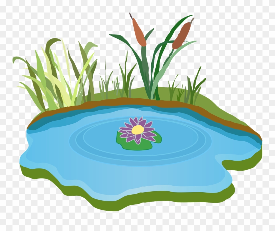 Pond Water Outdoor - Free Clipart Pond - Png Download