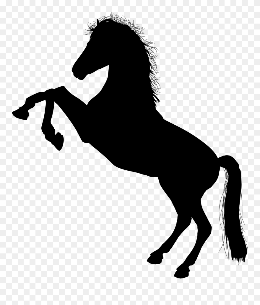 Clip Art Details - Clip Art Horse Silhouette - Png Download