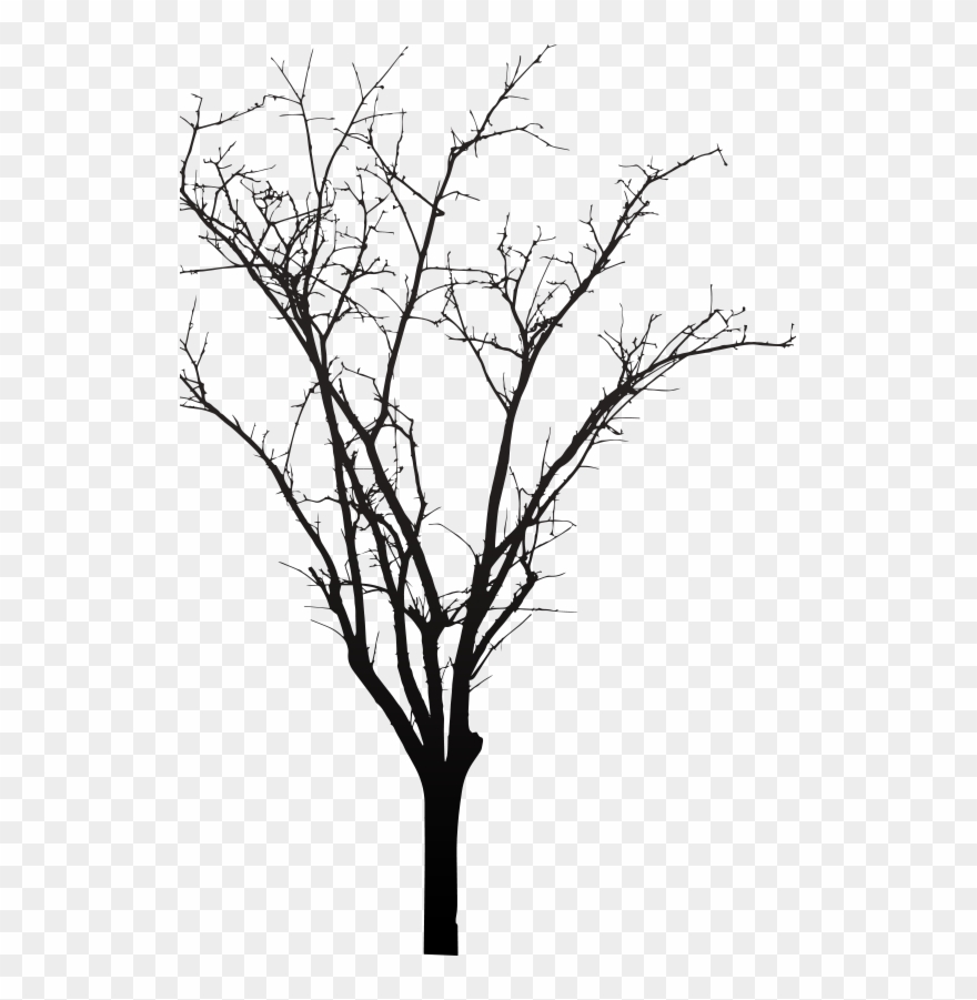 Tree - Silhouette Clipart