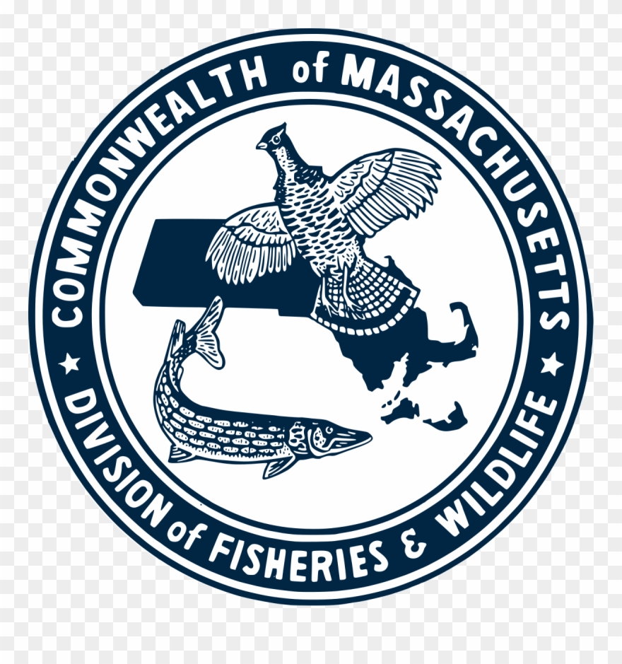 Division Of Fisheries And Wildlife Massachusetts Wikipedia - Emblem Clipart