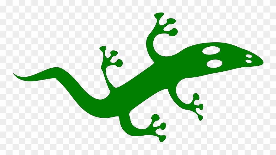 Custom Gecko Shower Curtain Clipart