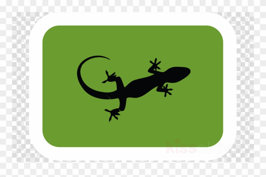 Clipart Resolution 773*555 - Clip Art - Png Download