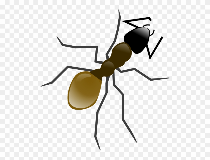 Ant Clip Art - Png Download
