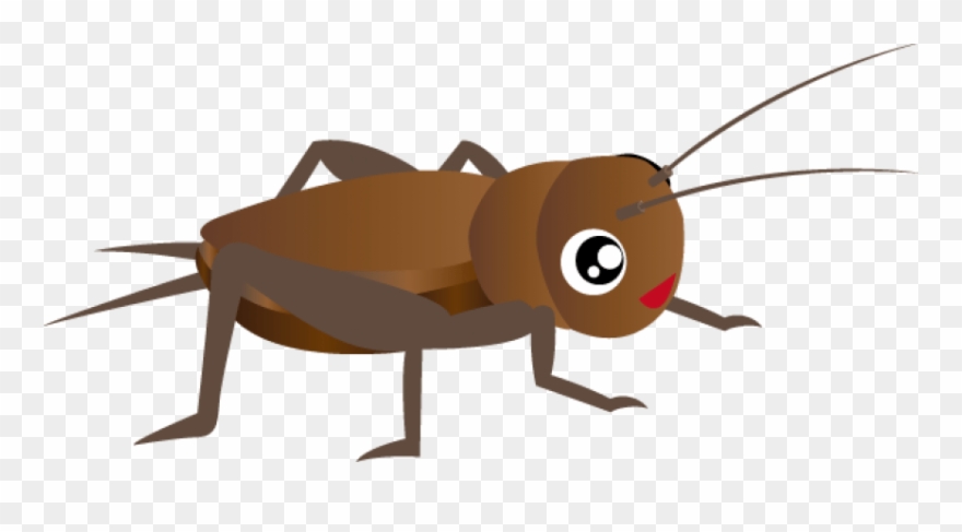 Free Cricket Insect Clipart Images Transparent Png - コオロギ イラスト