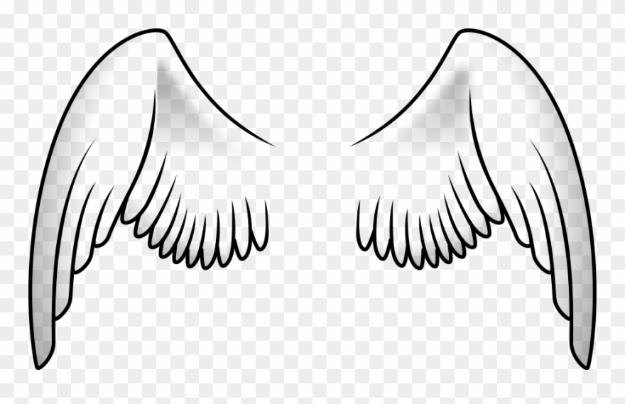 Clipart Wings - Png Download