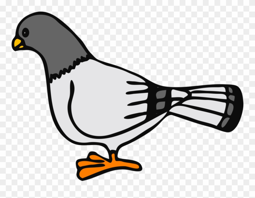 Columbidae Homing Pigeon English Carrier Pigeon Drawing - Pigeons Clipart - Png Download