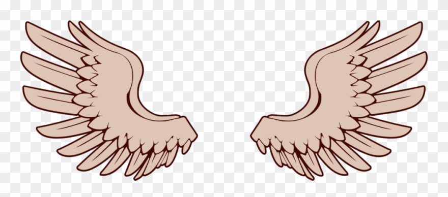 Wings - Wings Of Bird Clipart - Png Download