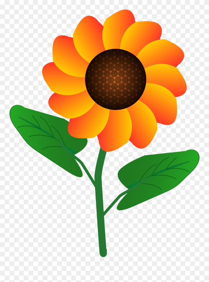 Flower - Simple Flower Cartoon Clipart