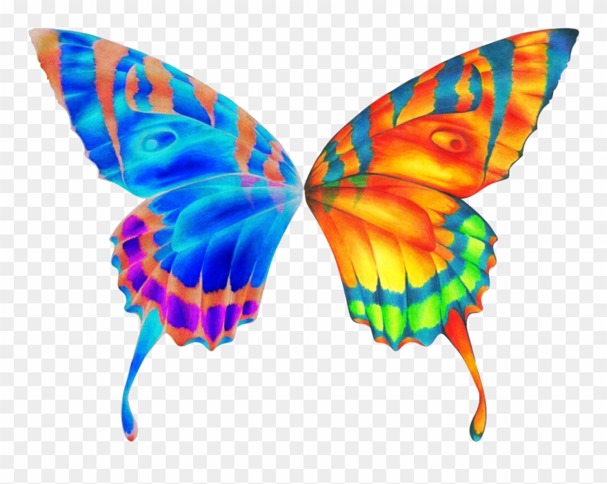 Butterfly Wings Cliparts - Beautiful Butterfly Wings Mugs - Png Download