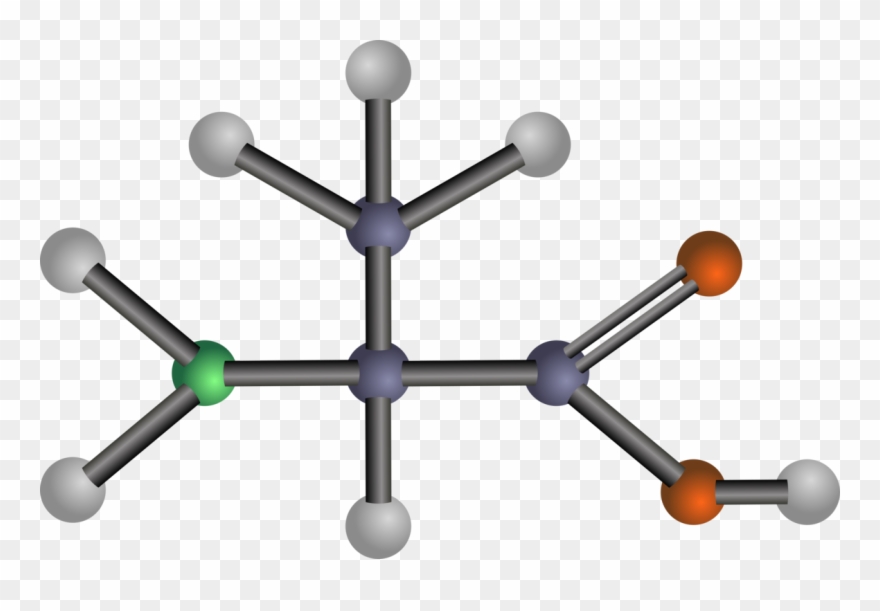 Arginine Amino Acid Branched-chain Amino Acid Protein - Amino Acids: Biochemistry And Applications Clipart