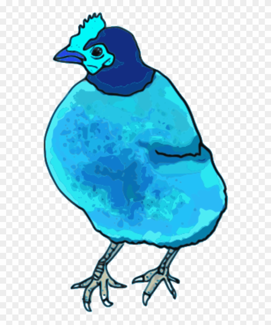 Vector Clip Art - Red Hen Shower Curtain - Png Download