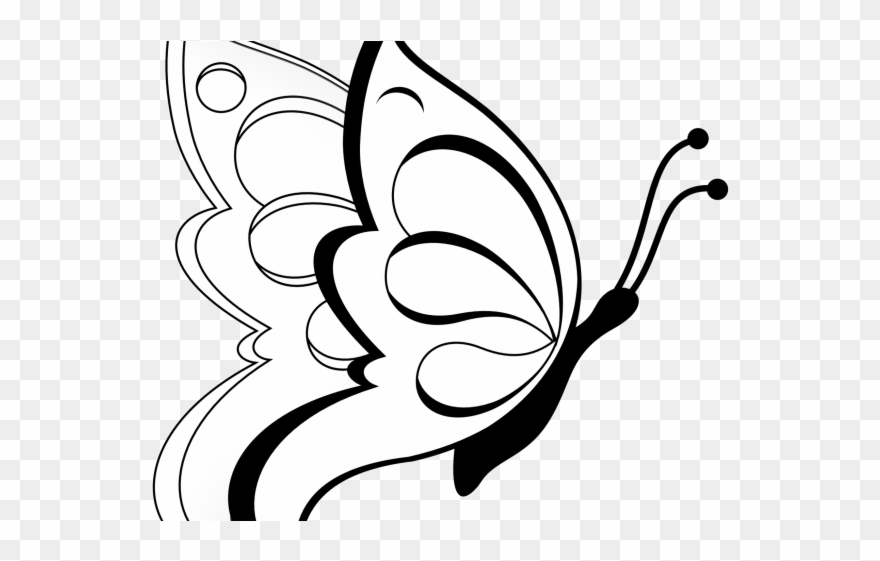 Fly Clipart Transparent - Butterfly Images For Drawing With Colour - Png Download
