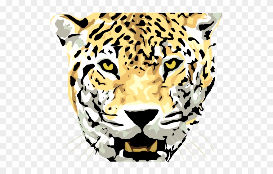 Head Clipart Cheetah - Jaguar Animal Drawing Face - Png Download