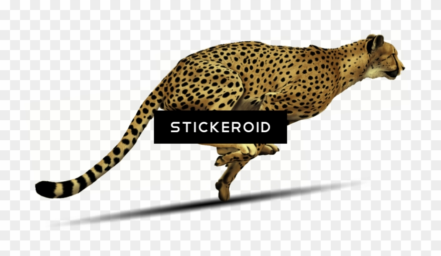 Cheetah - Fast Cheetah Running Clipart - Png Download