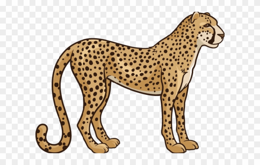 Realistic Clipart Cheetah - Clipart Cheetah - Png Download (#313878