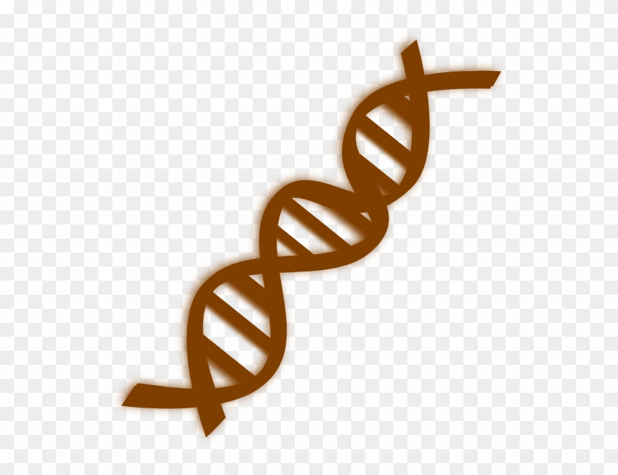 Portable Network Graphics Clipart