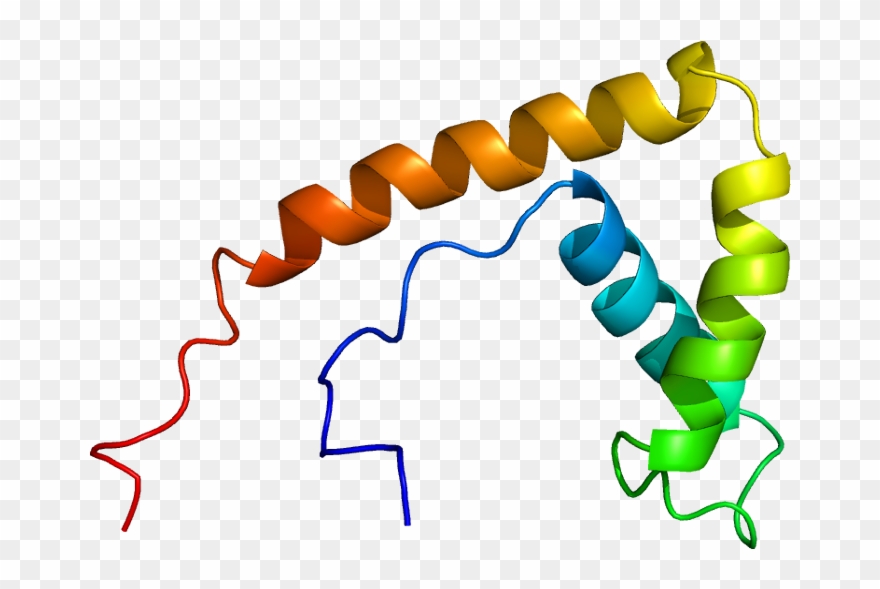 Clip Art Library Download Dna Clipart Wikipedia - Proteina Hmg - Png Download