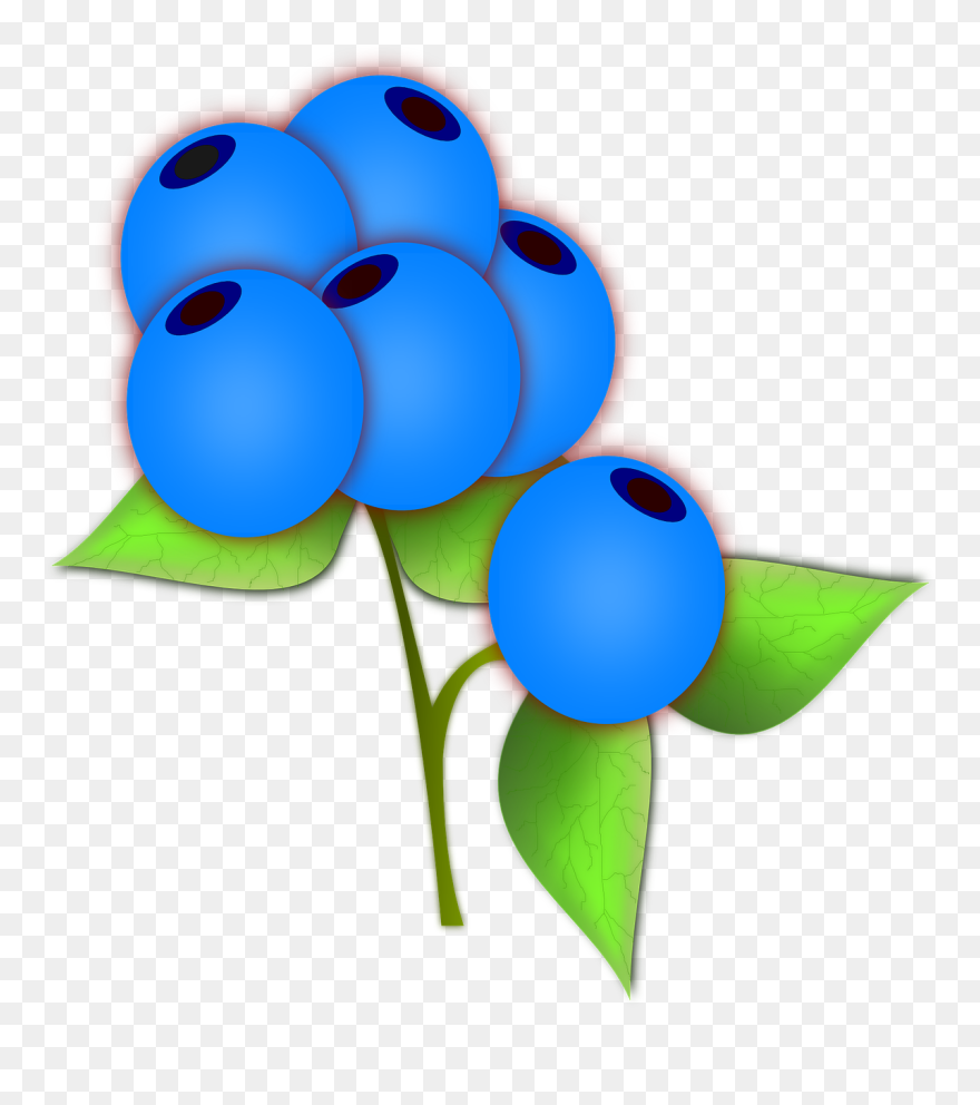 6 Blueberries Clip Art - Png Download