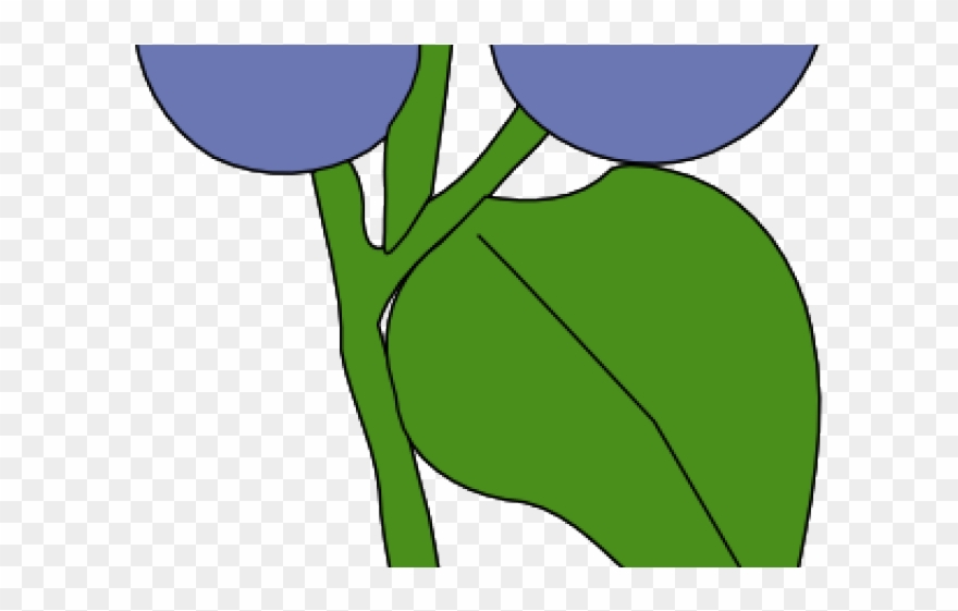 Blueberry Clipart Blueberry Tree - Berry Clip Art - Png Download