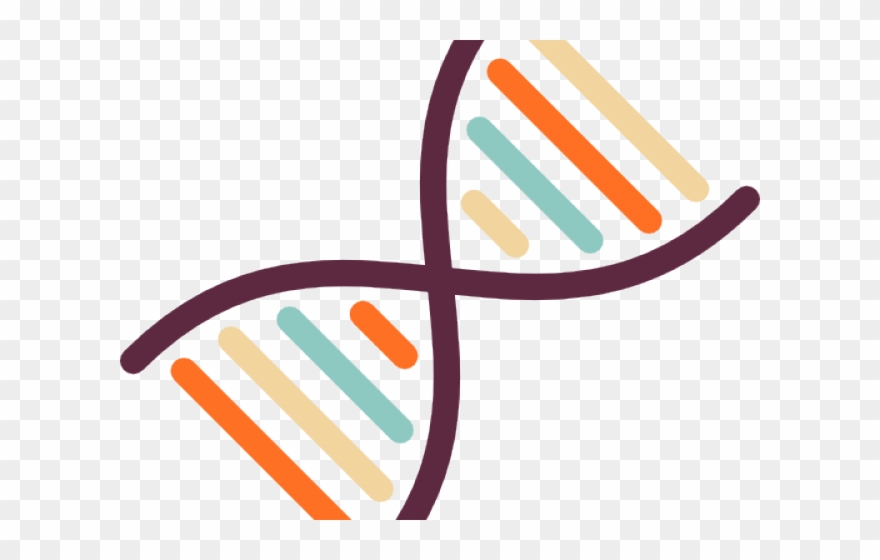 Dna Structure Clipart Clipart Transparent Background - Dna Structure Dna Transparent Background - Png Download