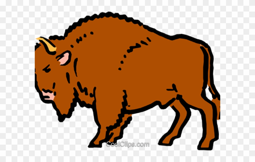 Buffalo Clipart Png - Dirty Buffalo Transparent Png