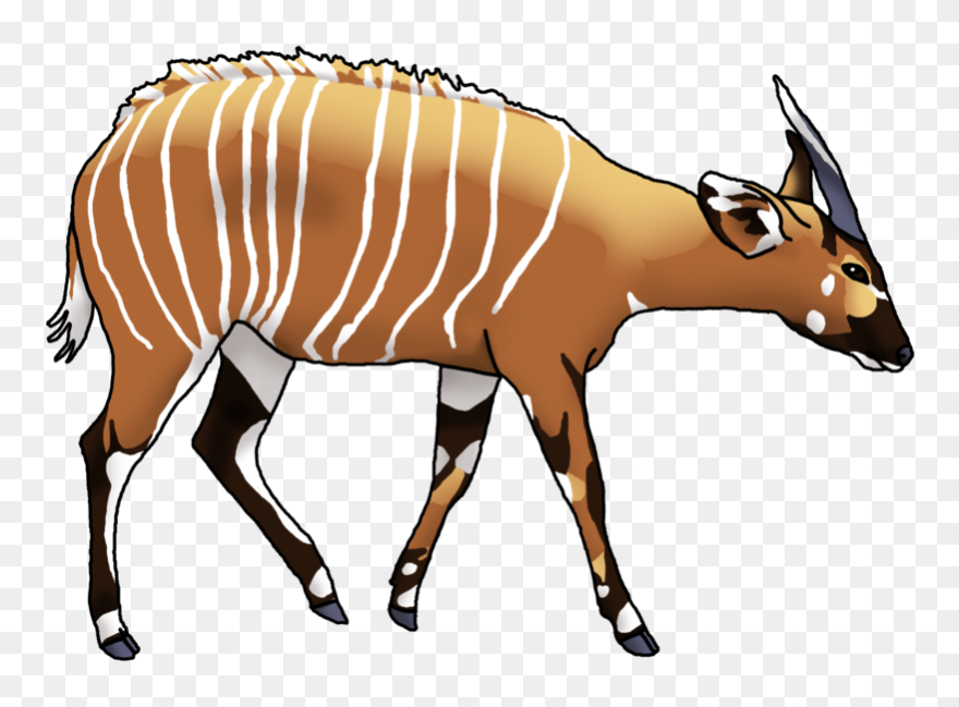 African Buffalo Clipart Nyala - Nyala Clipart - Png Download